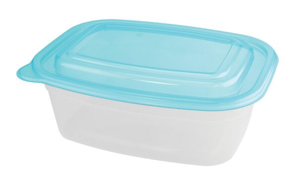 100 PC CONTAINER & LID SET 1