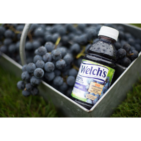 Welch's 100% Grape Juice, Concord Grape, 10 fl oz On-the-Go Bottle Pack of 6